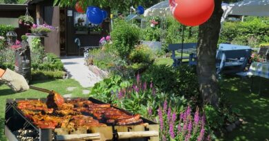 Sommerparty - Die Kunst der perfekten Feier